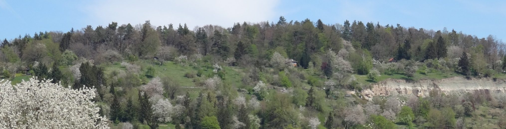 Schwäbischer Albverein | Ortsgruppe Urbach